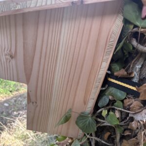 Nat'h Nichoir en bois mésange Balcon