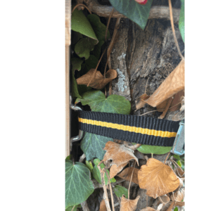 Nat'h Nichoir en bois mésange boite aux lettres